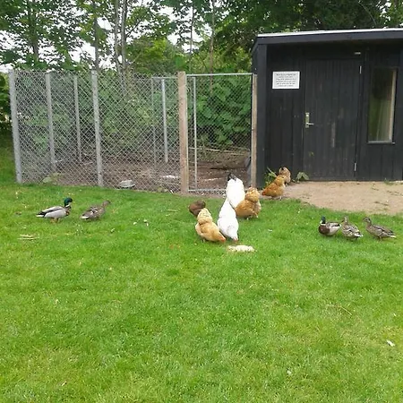 Farm Agroturismo Billund