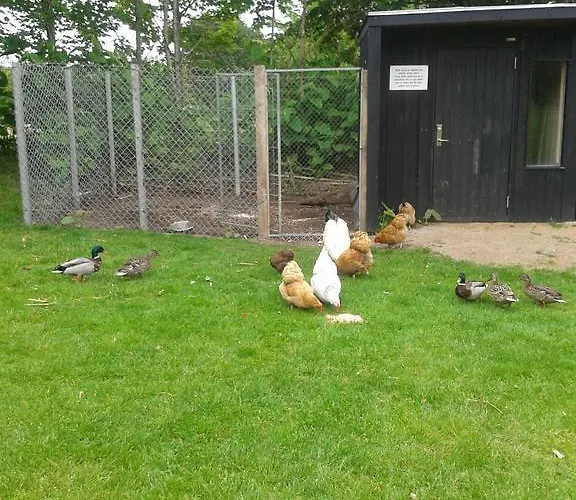 Farm Alloggio per agriturismo Billund