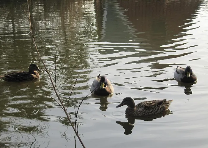 Alloggio per agriturismo Farm Billund